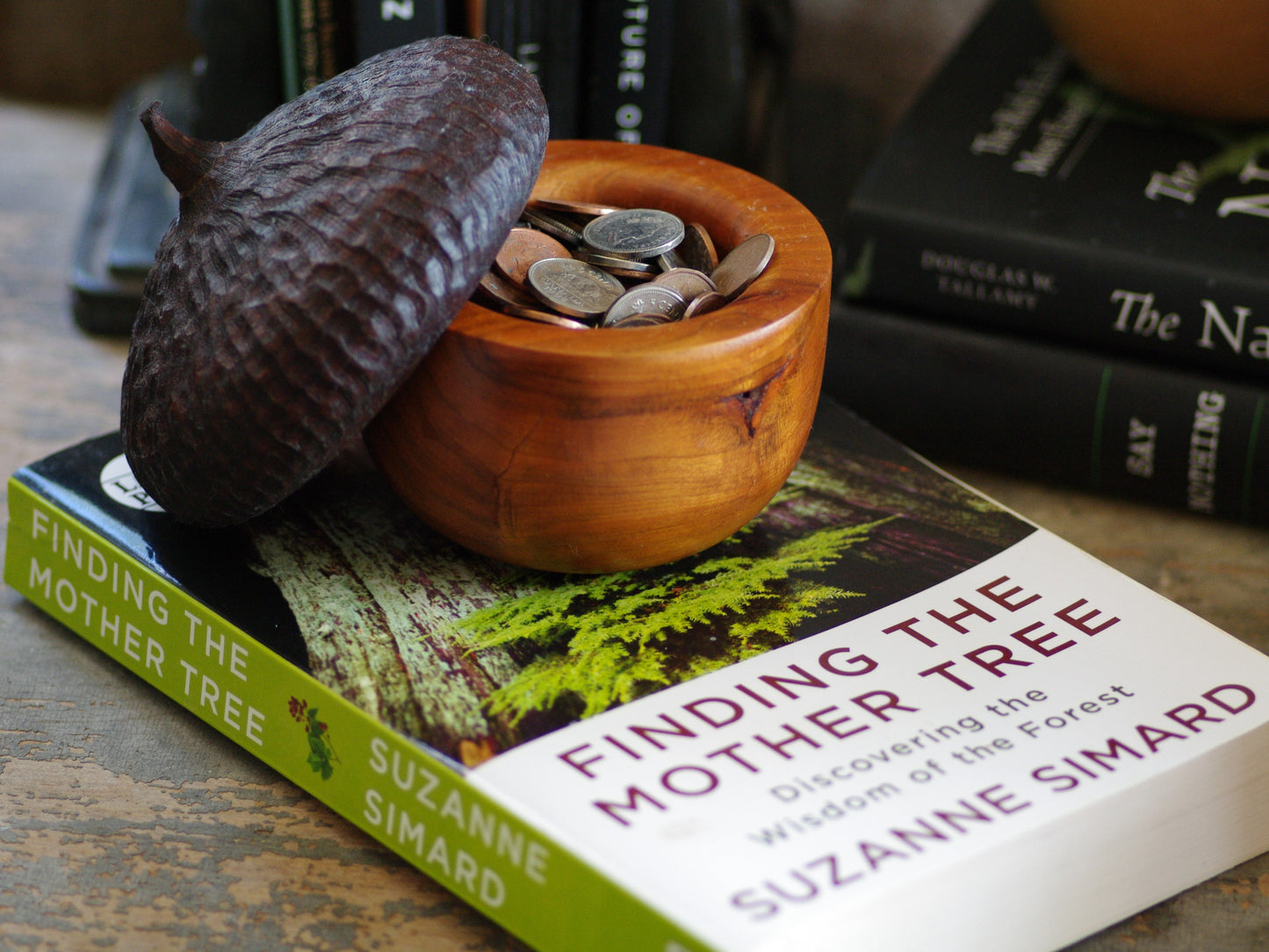 Woodland Acorn Button Box