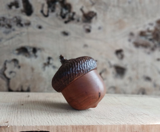 Collection of 20 Personalized Acorn Boxes