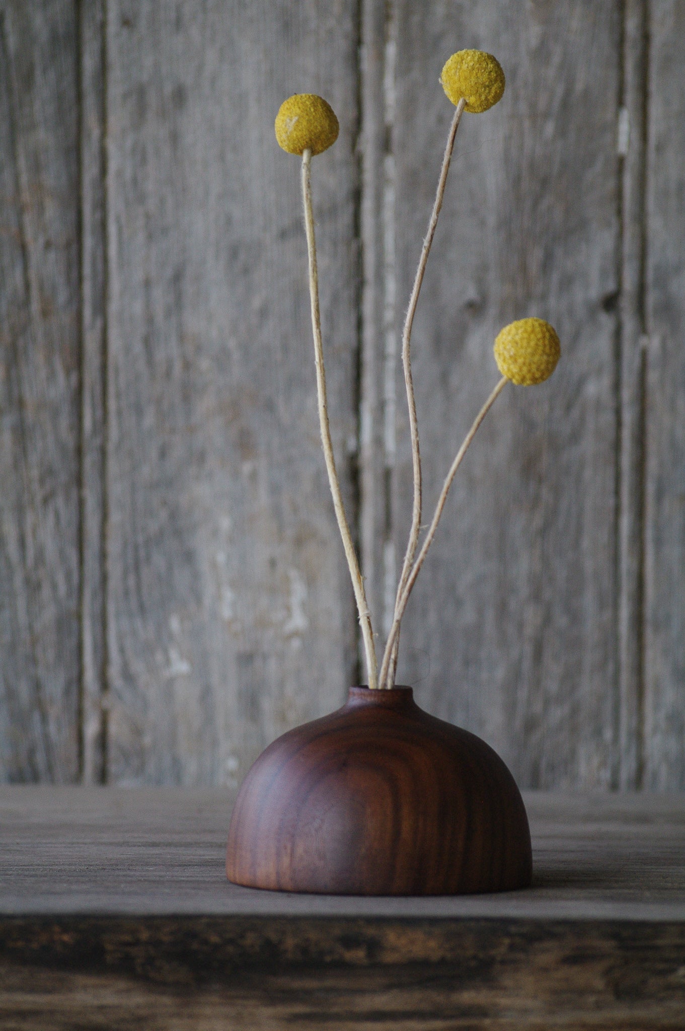 Walnut Twig Pot - Bud Vase