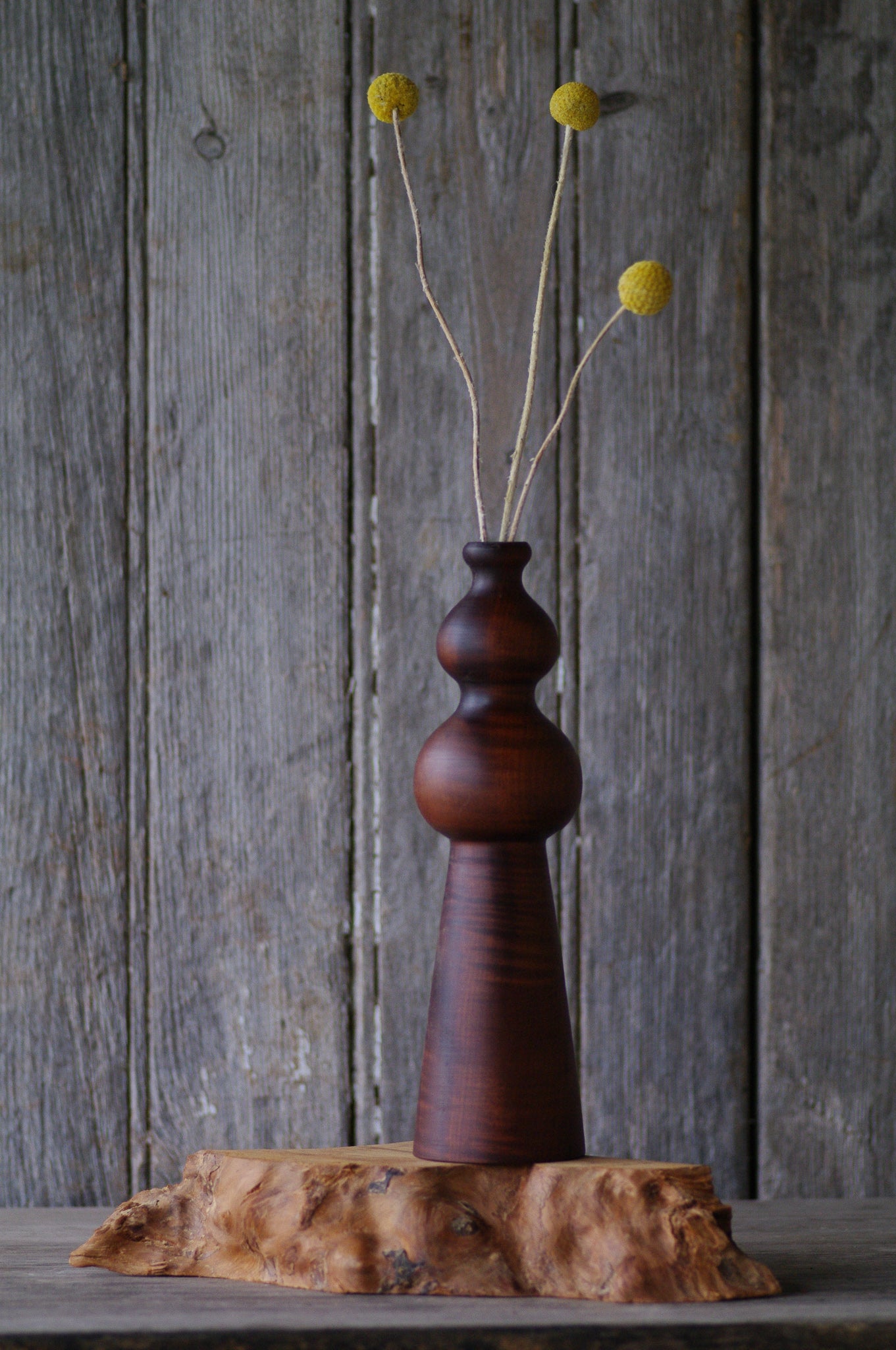Dark Maple Twig Pot- Bud Vase